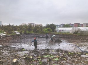 北安河道鱼塘清淤